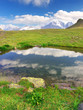 Lake on meadow