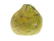 Ugli Fruit Ugli Fruit