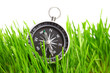 compass in green grass compass in green grass