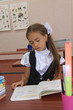 Pupil at a school desk
