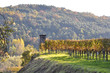 Foto: Jagdhochstand am Gipfel einer Weinbergterrasse Jagdhochstand am Gipfel einer Weinbergterrasse