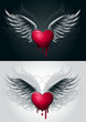 vector love wings