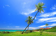 tropical beach