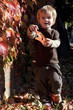 little boy playing with autumn leaves