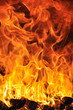 Fuoco 3  2010