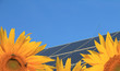 Solaranlage mit Sonnenblumen