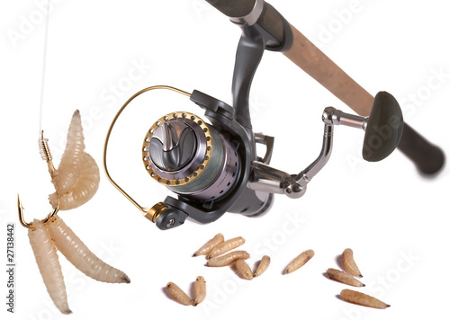 Foto: Good bait for fishing. Good bait for fishing.