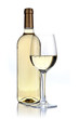 Still-life with the wine glass Still-life with the wine glass