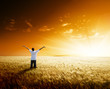 happy young man rest on wheat field happy young man rest on wheat field