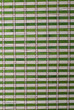 Textura de una esterilla de bambú verde.