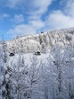 chalets de montagne