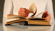 Hands and book Hands and book