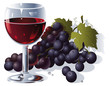 Verre de vin rouge et grappe de raisin noir