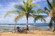 bikes
