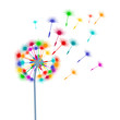Bunte-Pusteblume