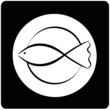 fish on a dish