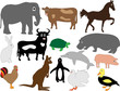 cartoon animals - vector cartoon animals - vector