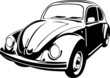 three quarter view of a beetle