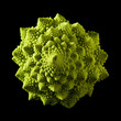 Roman broccoli isolated on black background;