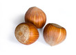 Hazelnuts