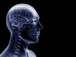 man x-ray