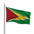 Flag of Guyana waving in the wind in front of white background