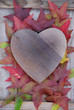 coeur et feuilles