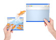 Leader Goldfish Jumping to Big Website Leader Goldfish Jumping to Big Website