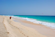 Beach at Santa Maria, Sal Island, Africa