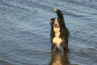 Im Meer