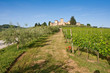 Typical Tuscan landscape