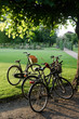 Bicycles At Sunset Bicycles At Sunset