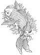 Hand Drawn Koi Fish