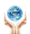 hand holding earth hand holding earth