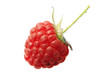 Single, perfect, fresh raspberry - isolated Single, perfect, fresh raspberry - isolated