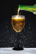 Bottle and Wineglass with Condensation