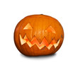 Pumpkin on white