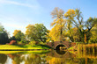 Foto: Woerlitzer Park Friederikenbruecke 04 Woerlitzer Park Friederikenbruecke 04