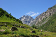 Mountain gorge and rock Mountain gorge and rock