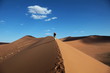 Düne, Sossusvlei, Namibia