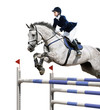 Photo : Equestrian jumper