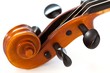 Fragment of violin: scroll and pegbox