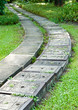 Pathway in grass field garden