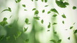 Falling gingko leaves - looped animation Falling gingko leaves - looped animation