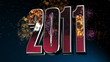 New Year 2011