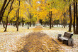 Picturesque park in Winter Picturesque park in Winter