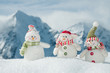 Happy winter friends