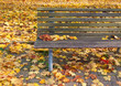 Parkbank im Herbst