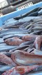 Fisch Markt Palermo Stände Essen Italien @nicole.wolski
