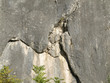 Riss in Felswand - Ritze
